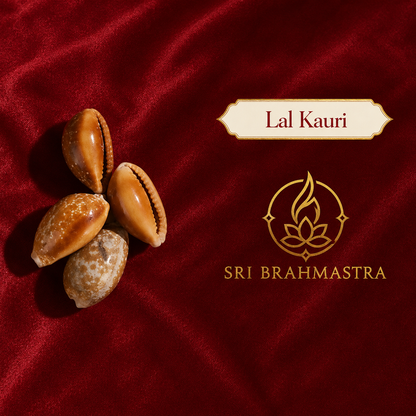 Kuber Potli - Attract Wealth